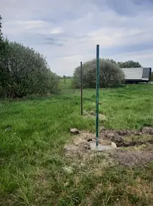 Продаж земельної ділянки 0,07 га. с.Требухів (Київська обл.) — мініатюра фото 6