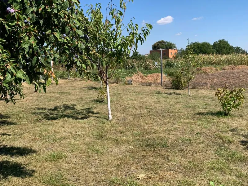 Продам земельну ділянку 25 соток у с. Глибоке, вул. Квітнева, 13-А. — фото 2 з 10