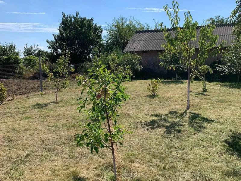 Продам земельну ділянку 25 соток у с. Глибоке, вул. Квітнева, 13-А. — фото 6 з 10