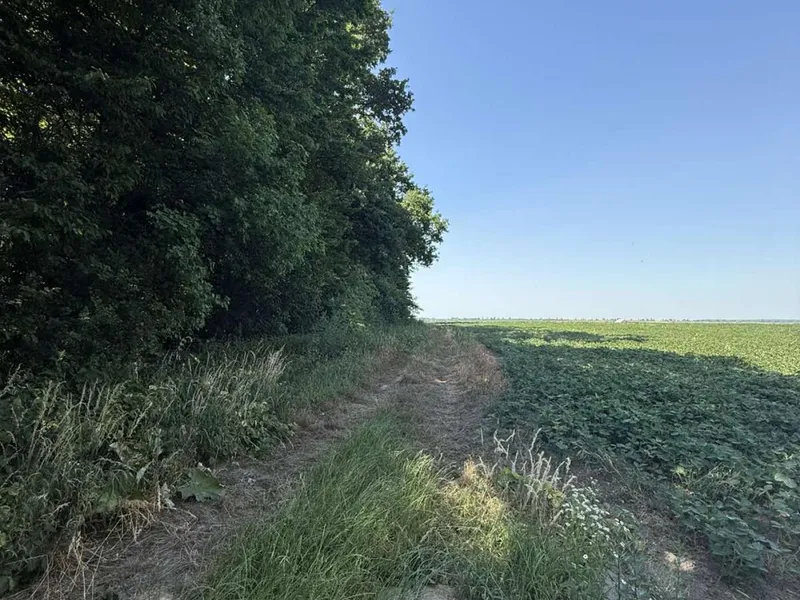 Продаж / Земля під інд. будівництво / Чижиків, Львівська обл — фото 2 з 6