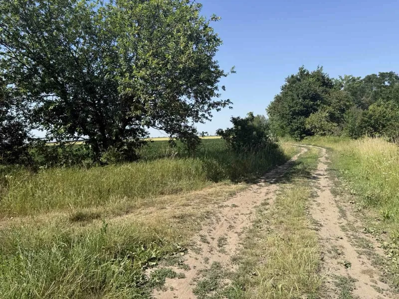 Продаж / Земля під інд. будівництво / Чижиків, Львівська обл — фото 4 з 6