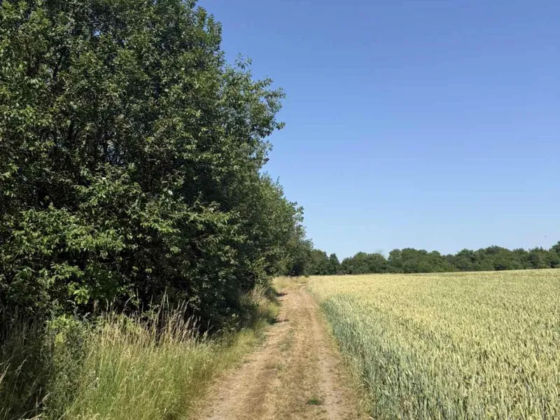 Продаж / Земля під інд. будівництво / Чижиків, Львівська обл — фото 5 з 6