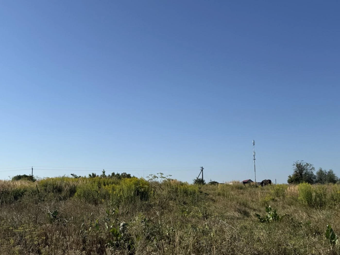 Продаж 43 CОТКИ / Земля під будівництво / Малі Підліски, Львівська обл — фото 14 з 14