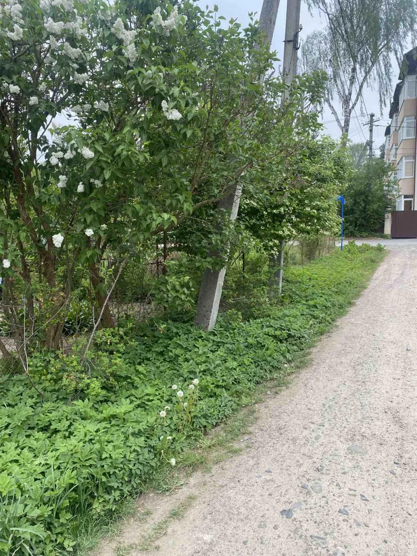 Продаж/Земля/будівництво/ Брюховичі/ Львівська область — фото 5 з 11
