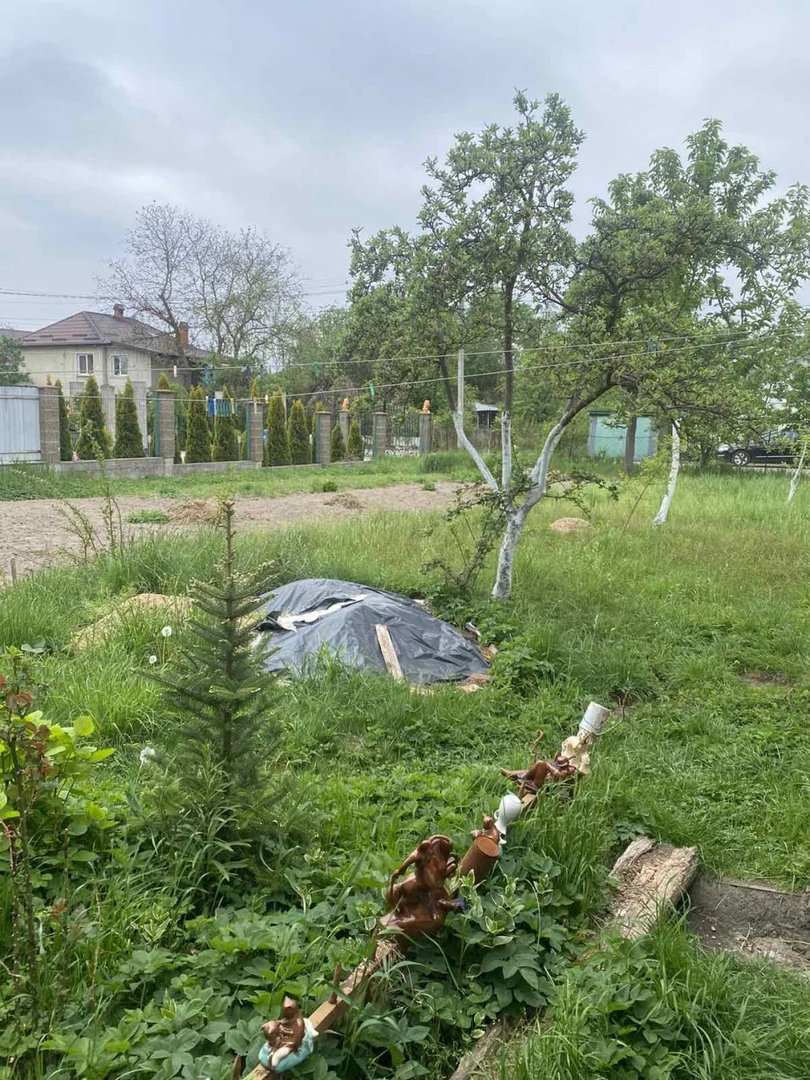 Продаж/Земля/будівництво/ Брюховичі/ Львівська область — фото 8 з 11