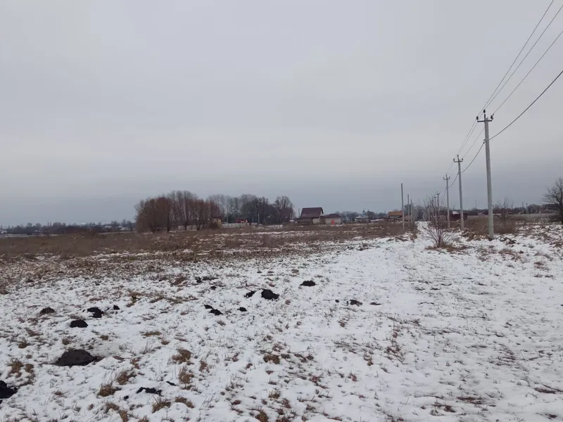 Продам ділянку з електрикою ціна за всю 2000 у.е — фото 3 з 4