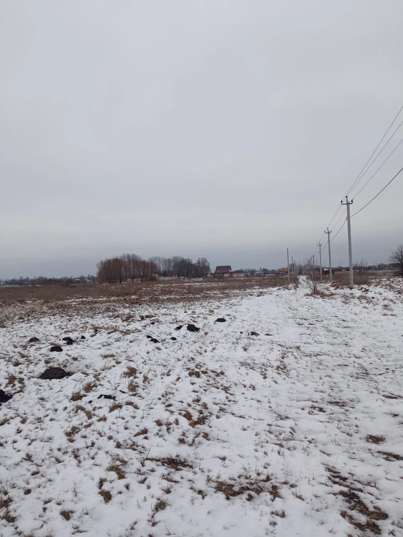 Продам ділянку з електрикою ціна за всю 2000 у.е — фото 3 з 4
