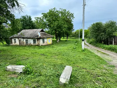 Продаю 50 сот під забудову — мініатюра фото 1
