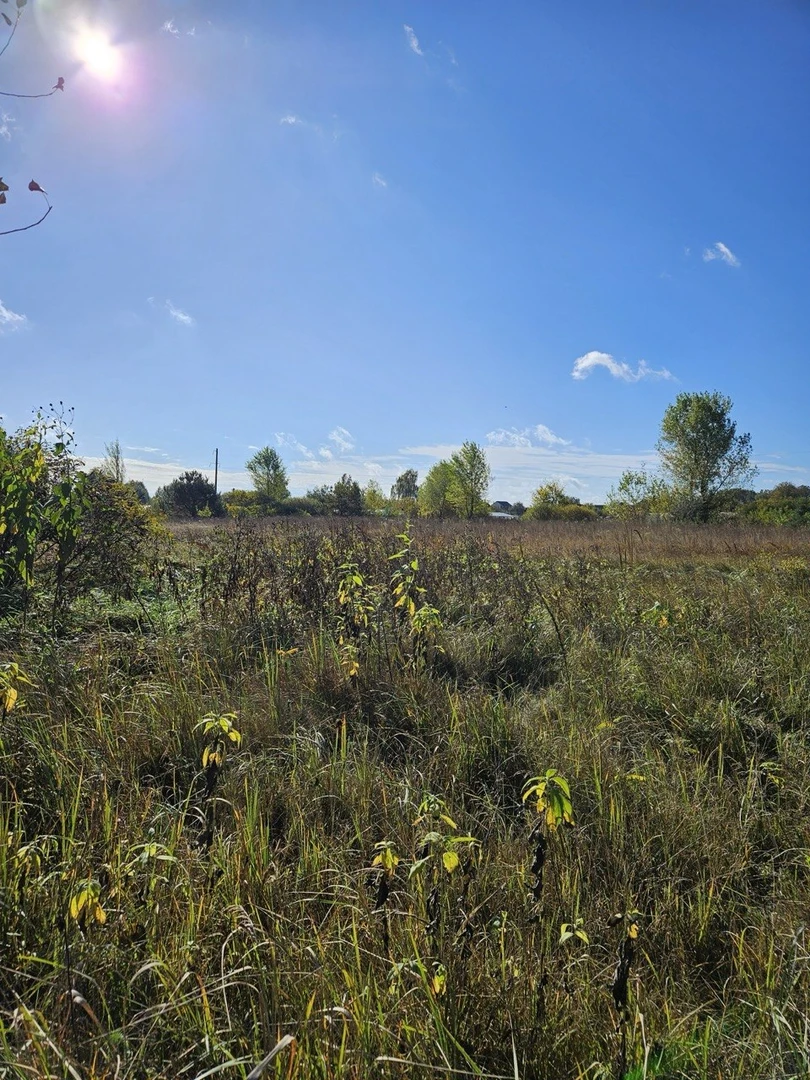 Продаж фасадної ділянки — фото 2 з 3