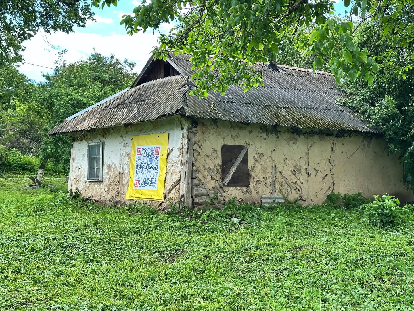 Продаю 50 сот . Частина 2  — фото 1 з 6