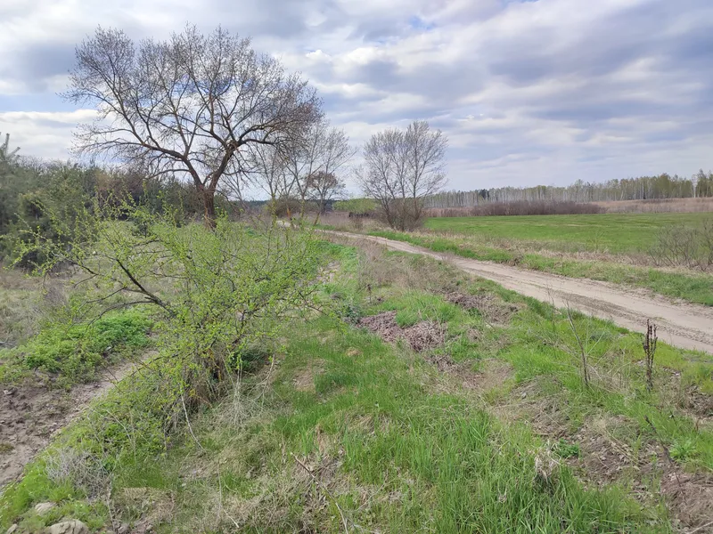 Продаж суміжних ділянок — фото 1 з 6