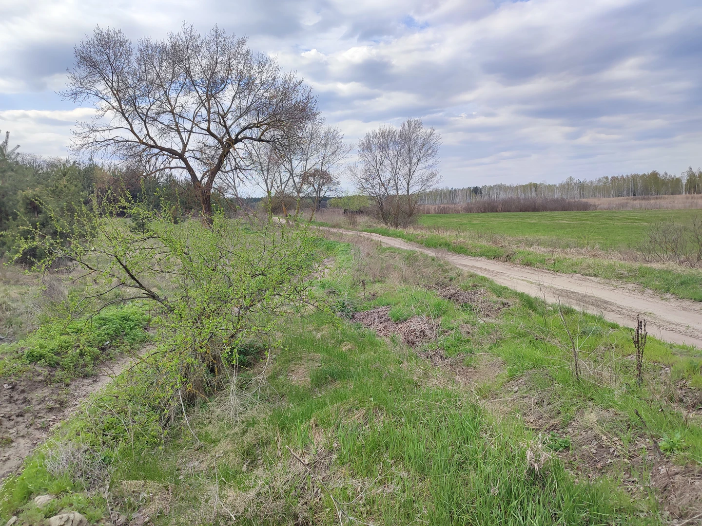 Продаж суміжних ділянок — фото 1 з 6