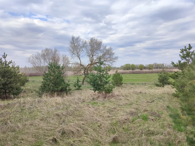 Продаж суміжних ділянок — фото 2 з 6