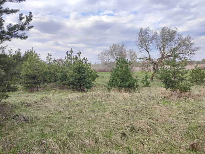 Продаж суміжних ділянок — фото 4 з 6