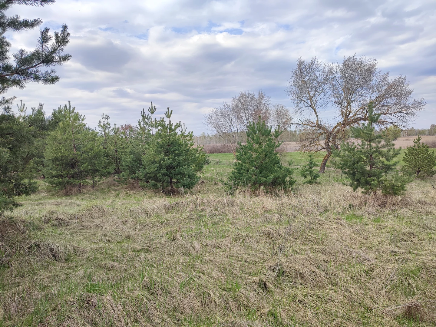 Продаж суміжних ділянок — фото 4 з 6