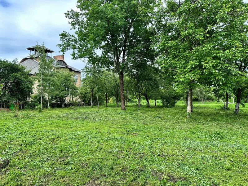 Продаю 50 сот . Частина 2  — фото 2 з 6