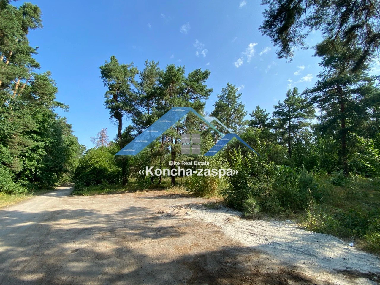 Ексклюзивна ділянка в лісовій частині. Козин. Конча Заспа — фото 1 з 6
