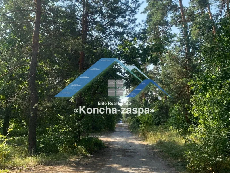 Ексклюзивна ділянка в лісовій частині. Козин. Конча Заспа — фото 3 з 6