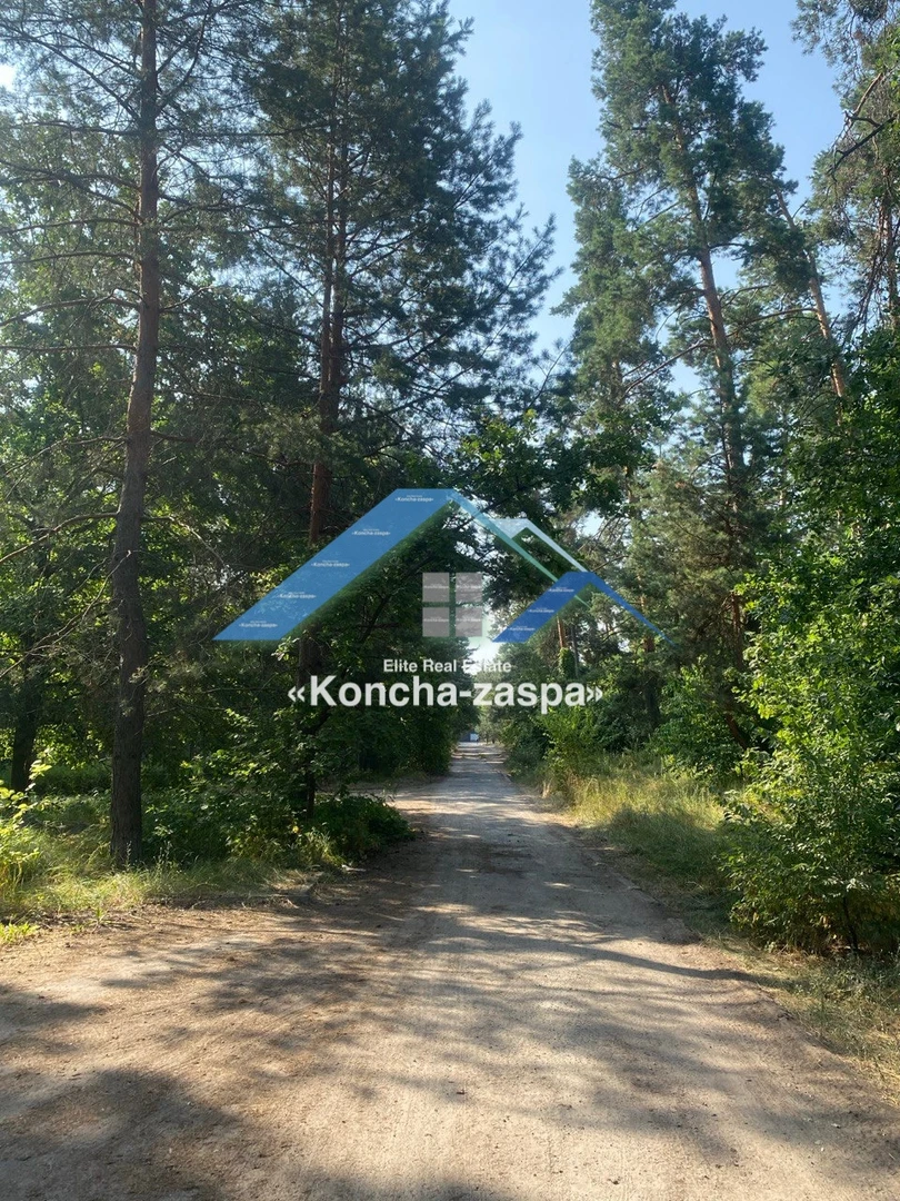 Ексклюзивна ділянка в лісовій частині. Козин. Конча Заспа — фото 3 з 6