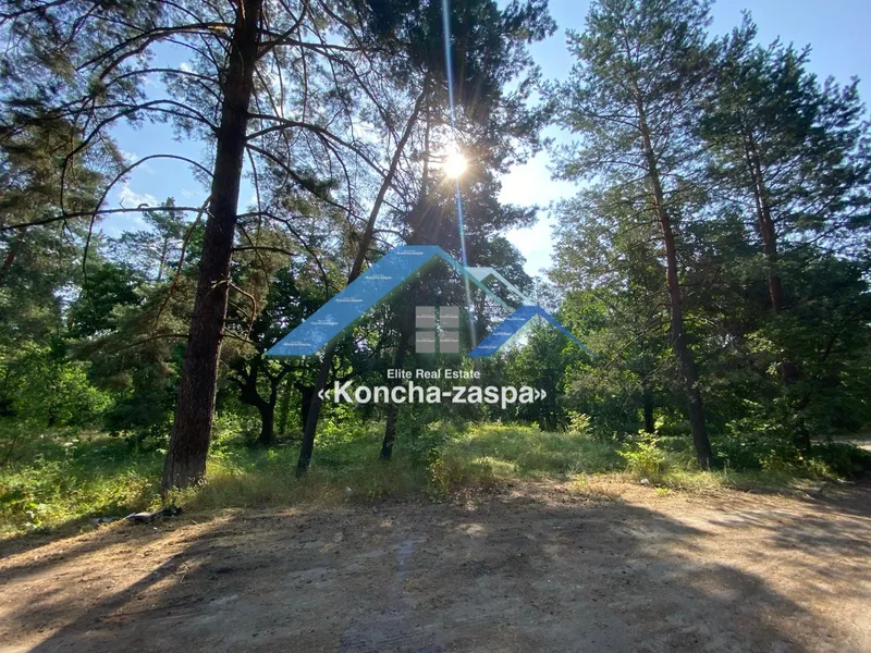 Ексклюзивна ділянка в лісовій частині. Козин. Конча Заспа — фото 4 з 6
