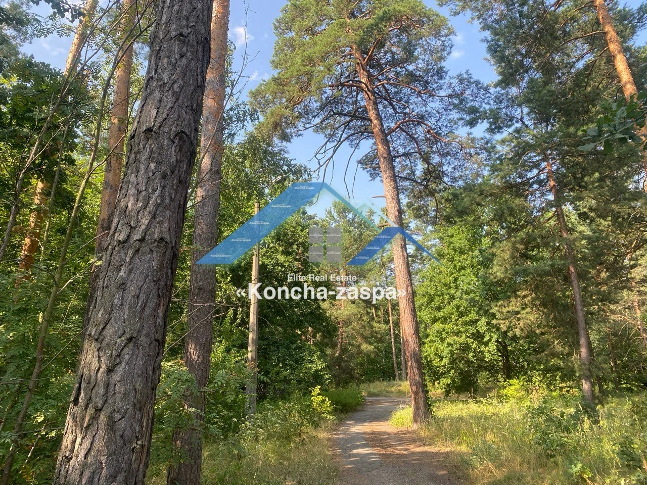 Ексклюзивна ділянка в лісовій частині. Козин. Конча Заспа — фото 5 з 6