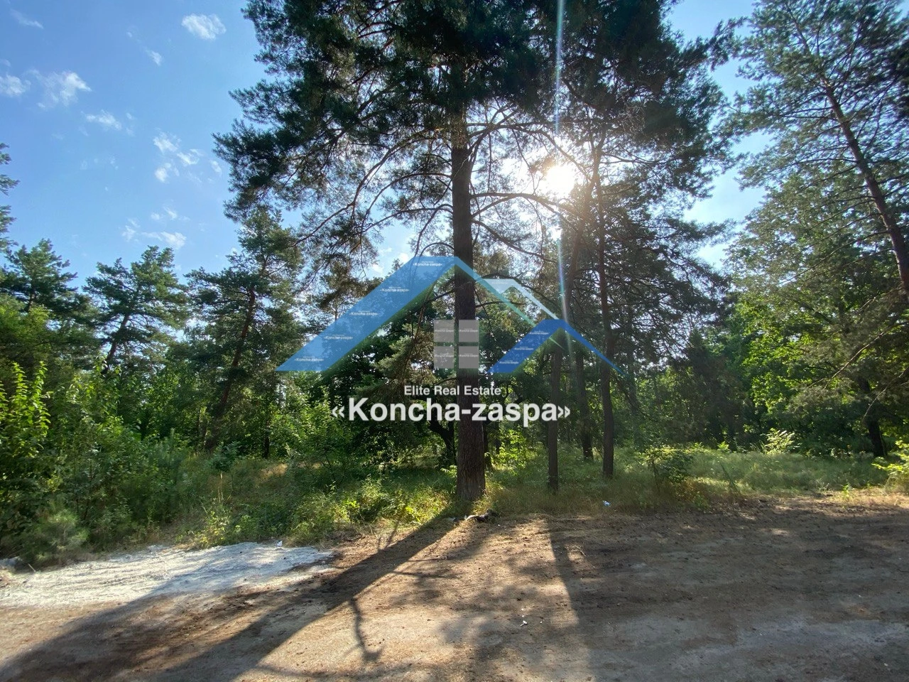 Ексклюзивна ділянка в лісовій частині. Козин. Конча Заспа — фото 6 з 6