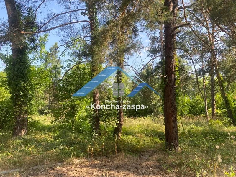 Ексклюзивна ділянка в лісовій частині. Козин. Конча Заспа — фото 3 з 4