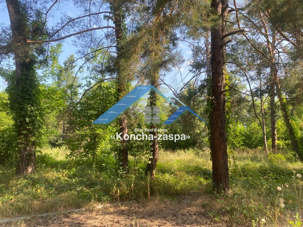 Ексклюзивна ділянка в лісовій частині. Козин. Конча Заспа — фото 3 з 4
