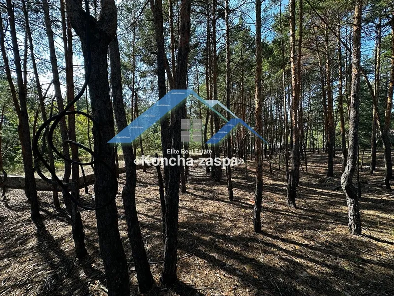 Фасадна ділянка по Новообухівській трасі. Підгірці, Романків — фото 7 з 9