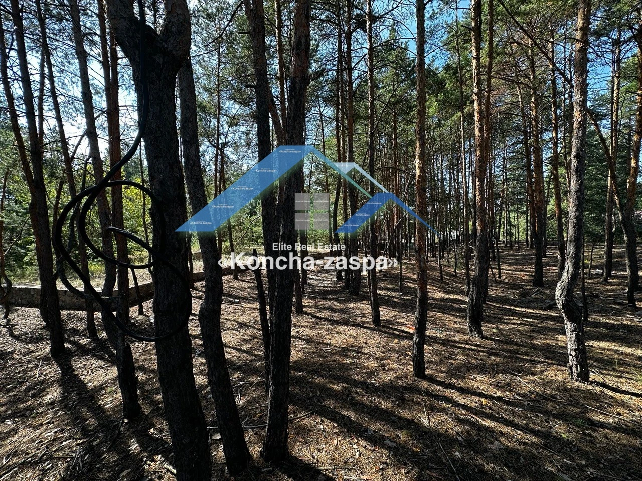 Фасадна ділянка по Новообухівській трасі. Підгірці, Романків — фото 7 з 9