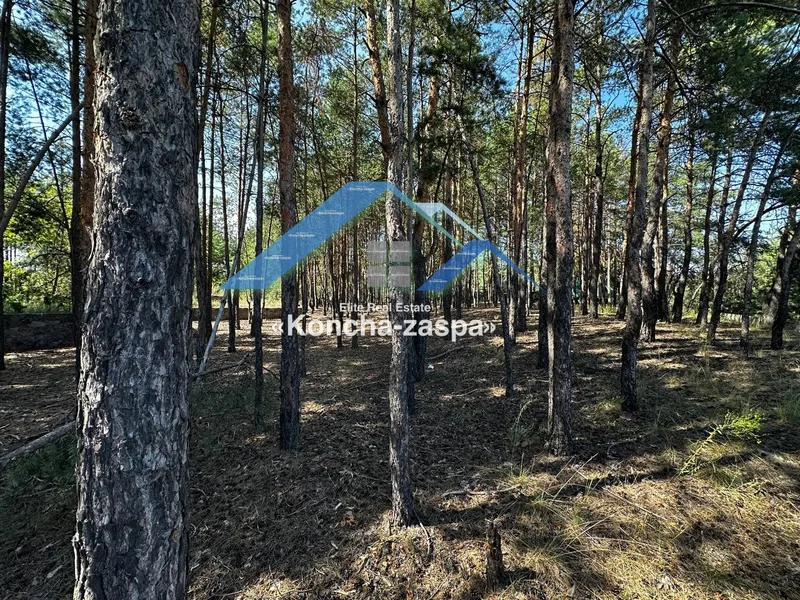 Фасадна ділянка по Новообухівській трасі. Підгірці, Романків — фото 9 з 9