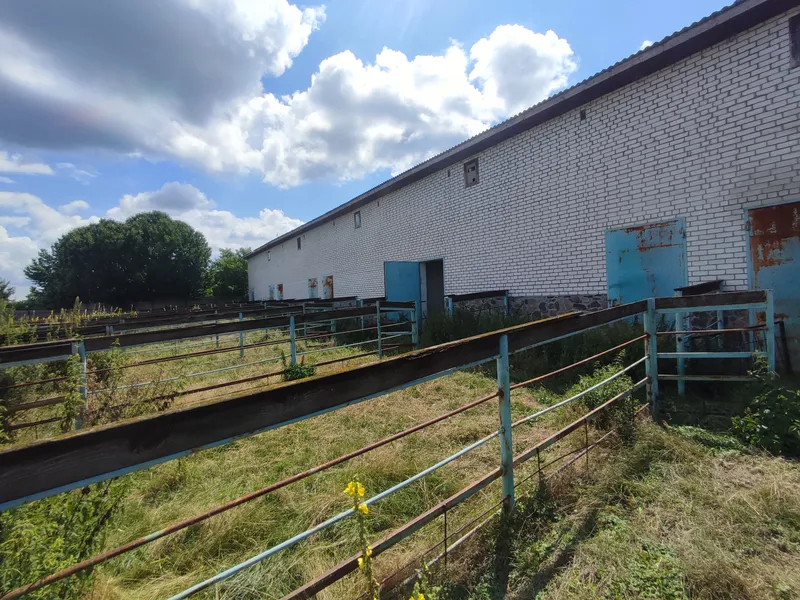 Продаж суміжних ділянок — фото 2 з 7
