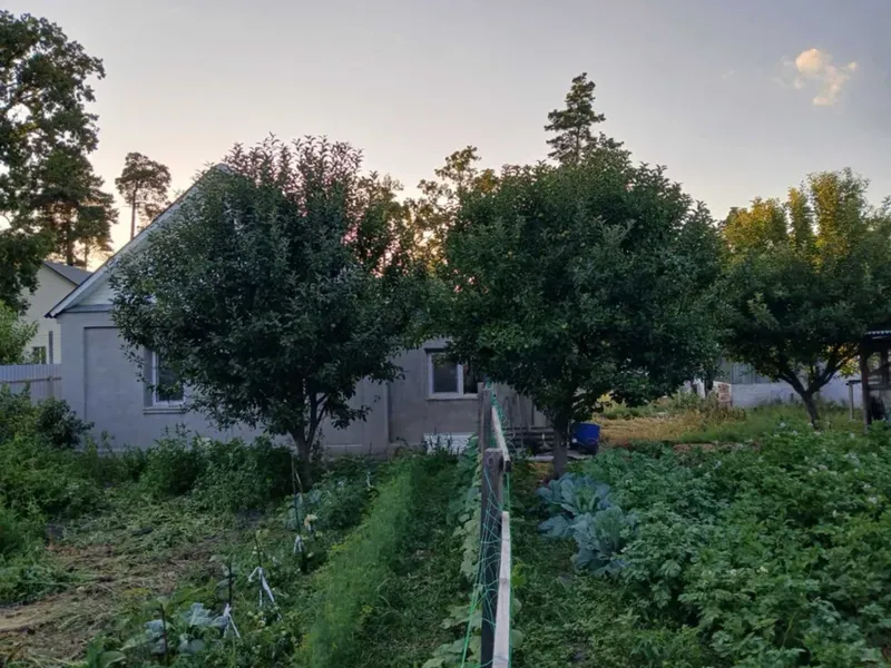 Продаж цегляного будинку 80 м² у центрі | 9 соток + додатковий будинок — фото 6 з 7