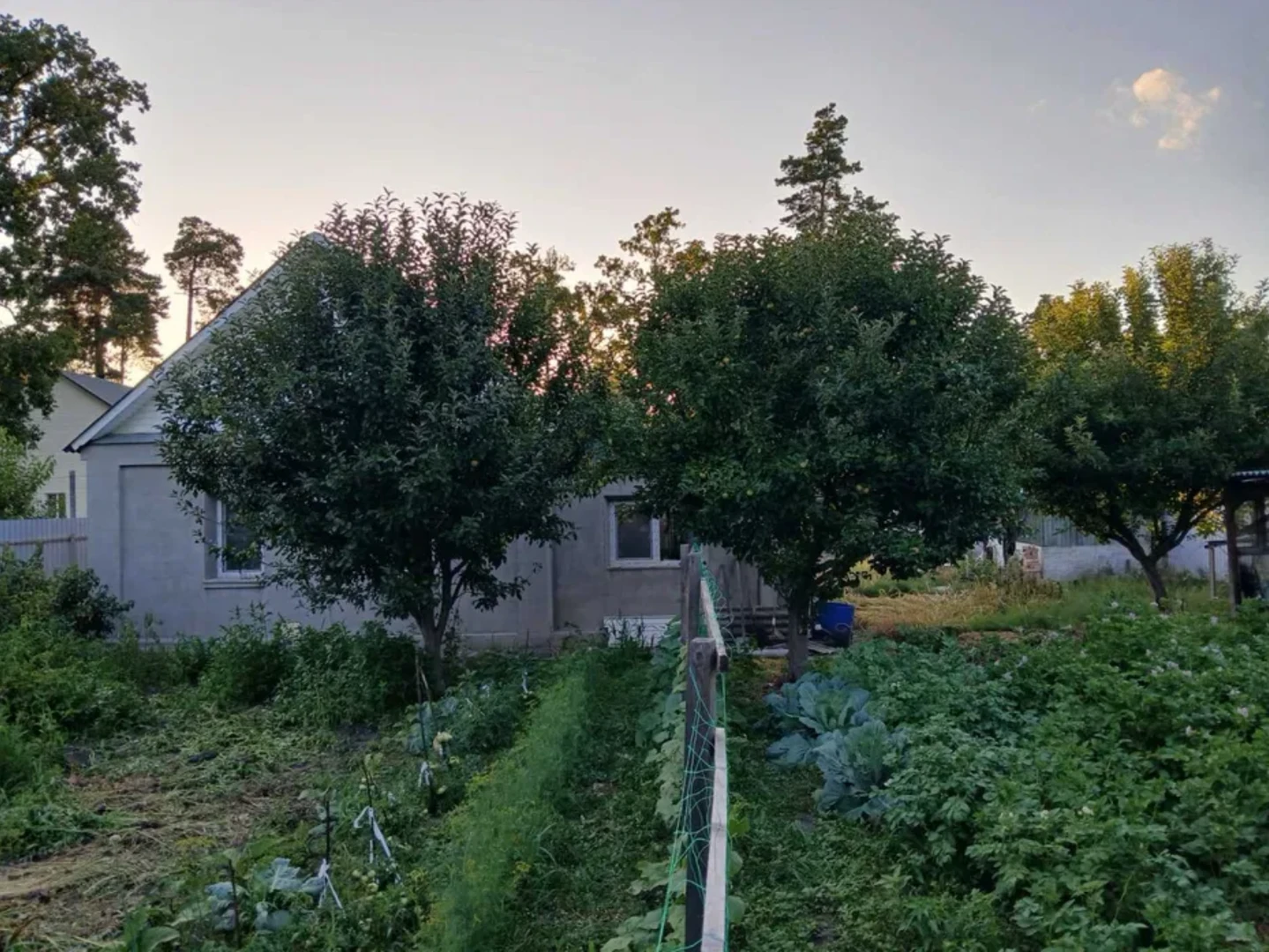 Продаж цегляного будинку 80 м² у центрі | 9 соток + додатковий будинок — фото 6 з 7