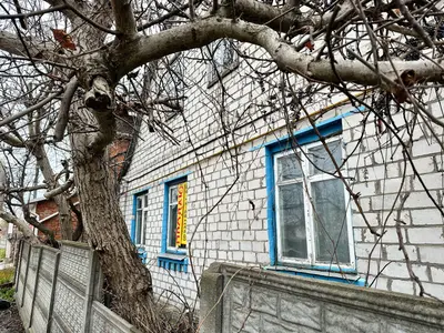продаю 25 сот із хатою під ремонт — мініатюра фото 5