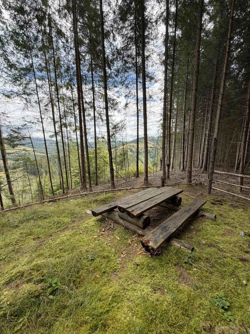 Продаж 3,96 гектарів. 2 га повністю в лісі та межує з лісом — фото 5 з 7