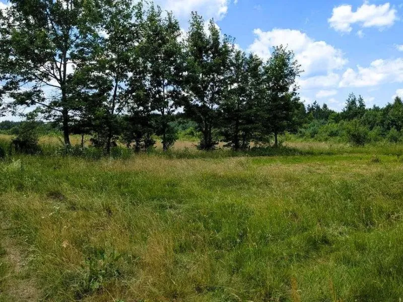 Продаж земельної ділянки під забудову за Рудно — фото 2 з 18