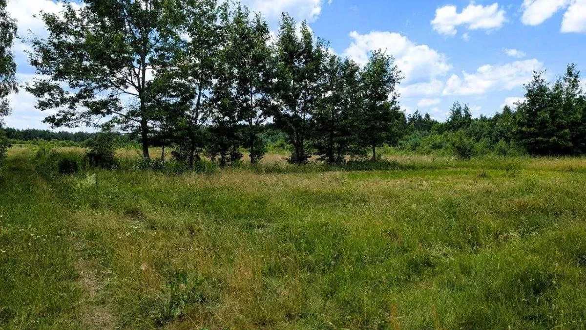 Продаж земельної ділянки під забудову за Рудно — фото 2 з 18