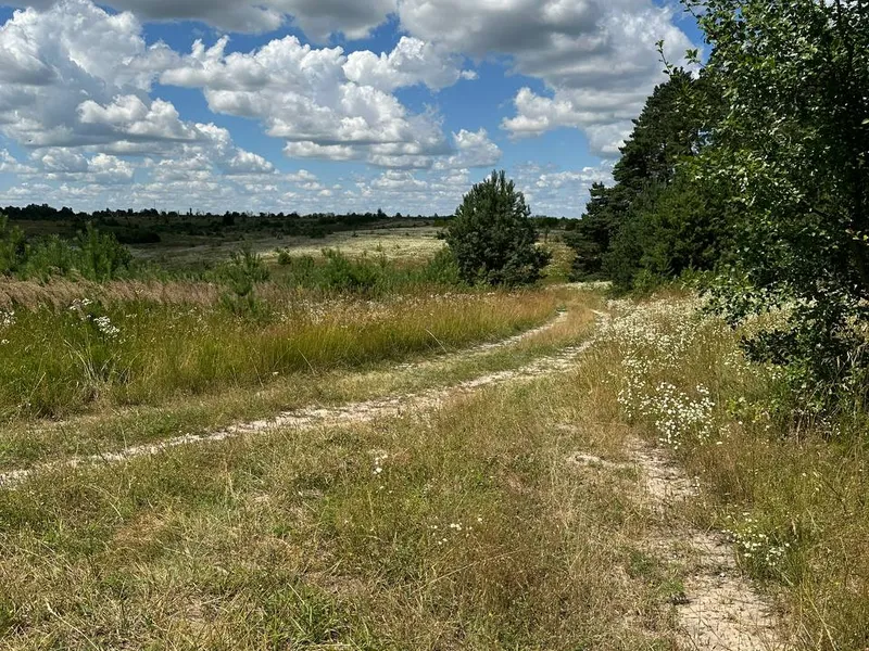 Ділянка 36,65 соток біля Києва під інвестицію або будинок. Личанка. — фото 4 з 4