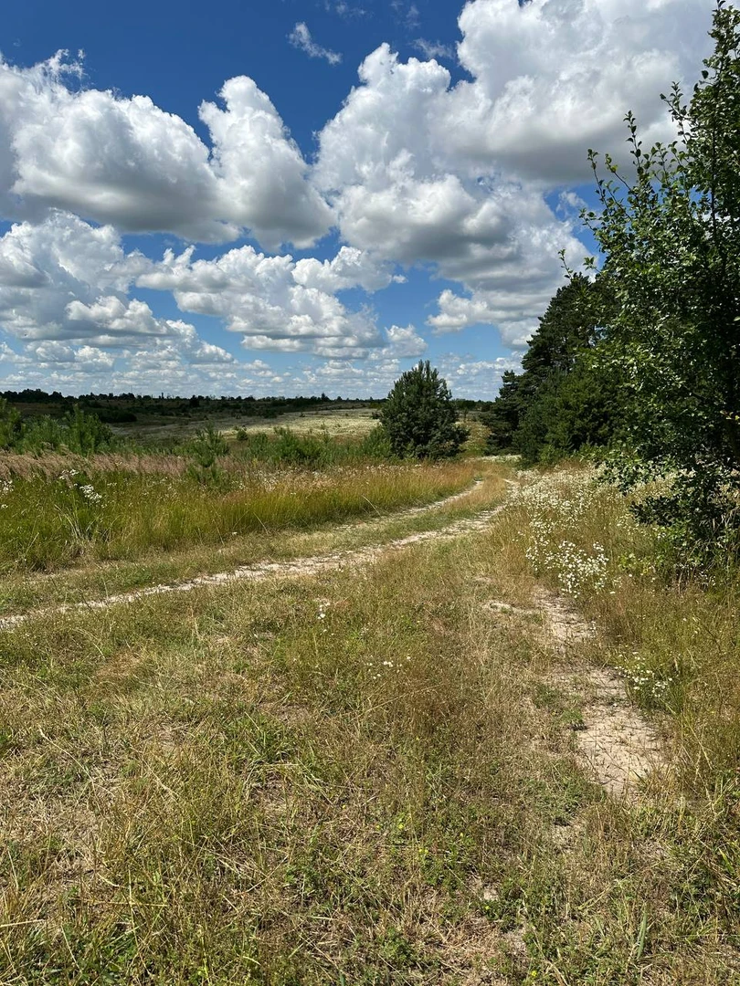 Ділянка 36,65 соток біля Києва під інвестицію або будинок. Личанка. — фото 4 з 4