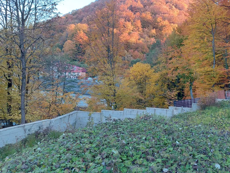 Продаётся участок в Центре курорта с. Шаян — фото 3 з 18