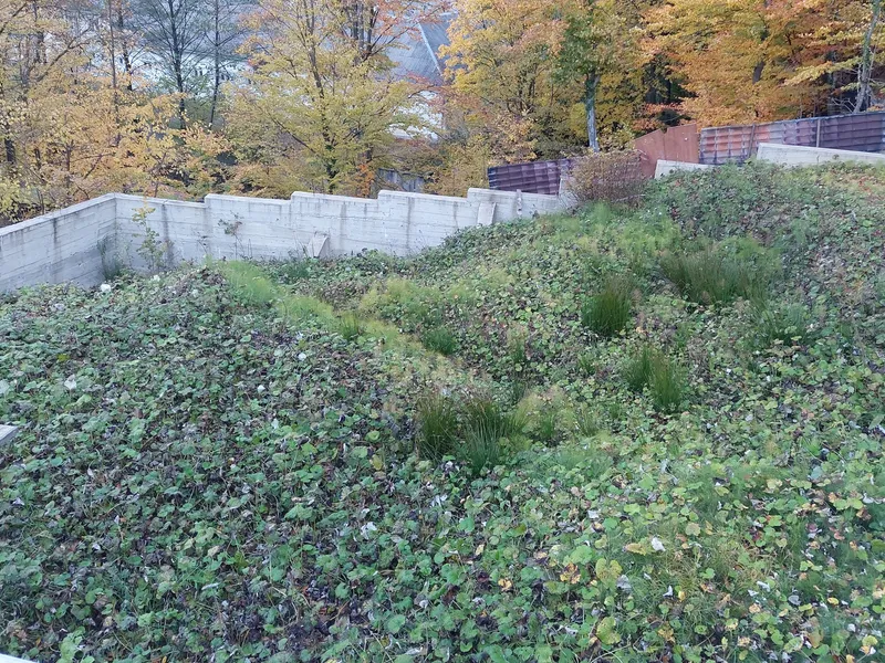 Продаётся участок в Центре курорта с. Шаян — фото 13 з 18