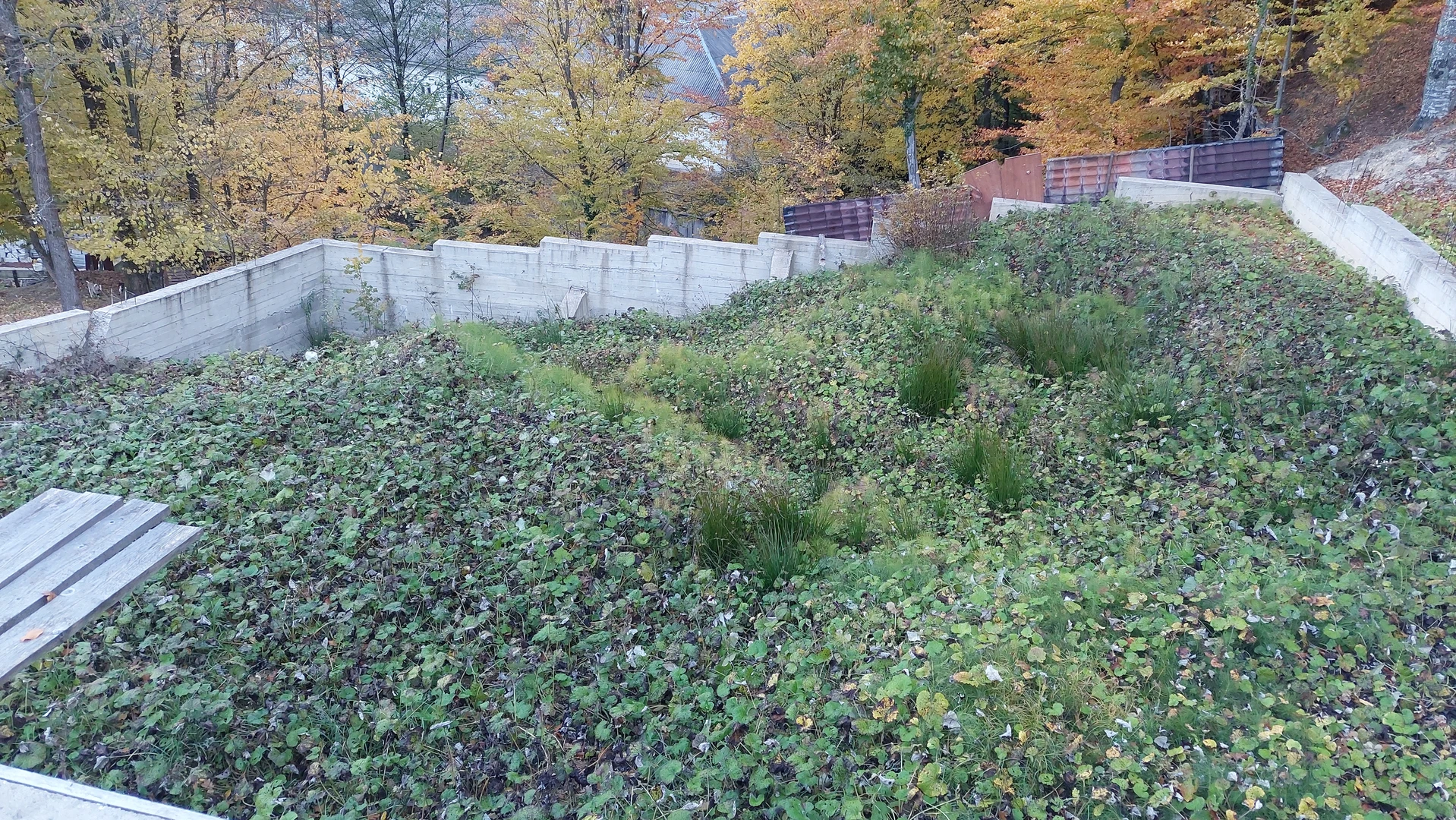 Продаётся участок в Центре курорта с. Шаян — фото 13 з 18