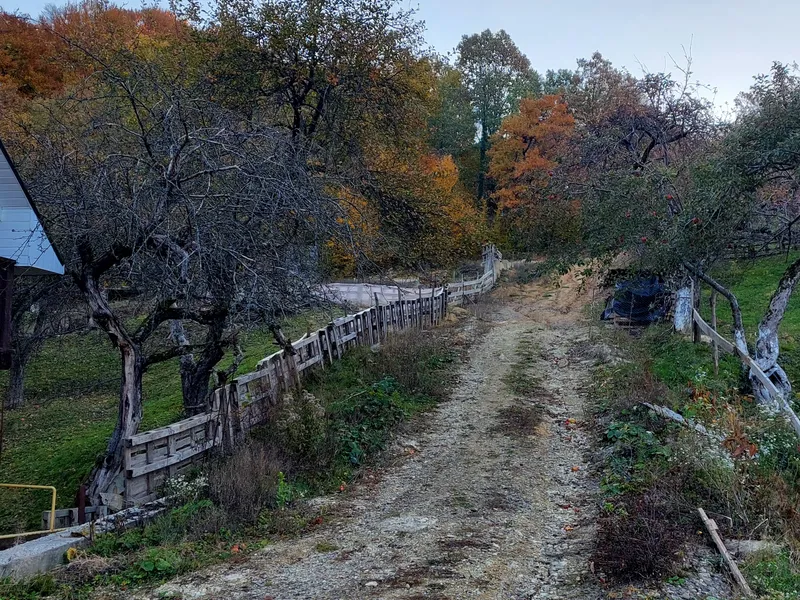 Продаётся участок в Центре курорта с. Шаян — фото 15 з 18