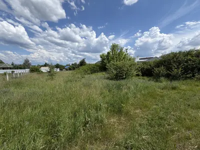 Продаж ділянки, в Рибцях 9 соток — мініатюра фото 4