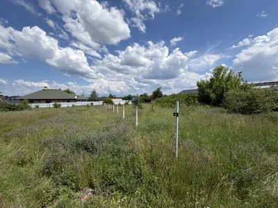 Продаж ділянки, в Рибцях 9 соток — мініатюра фото 7