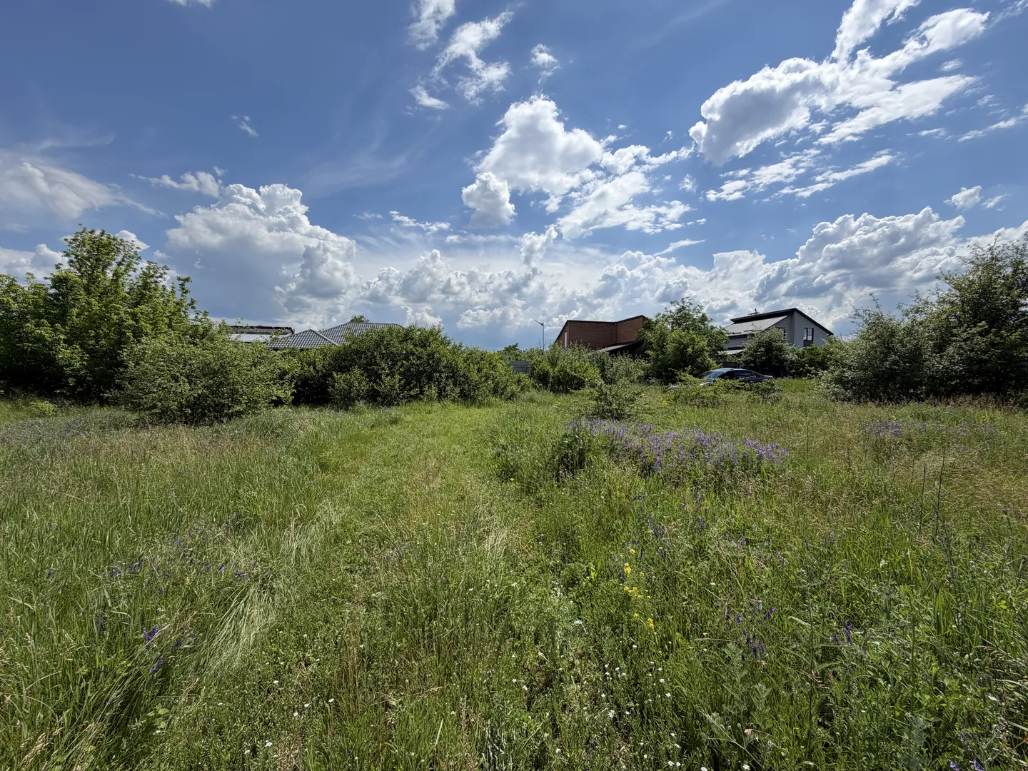 Продаж ділянки, в Рибцях 9 соток — фото 8 з 15