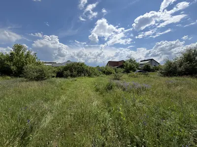 Продаж ділянки, в Рибцях 9 соток — мініатюра фото 8