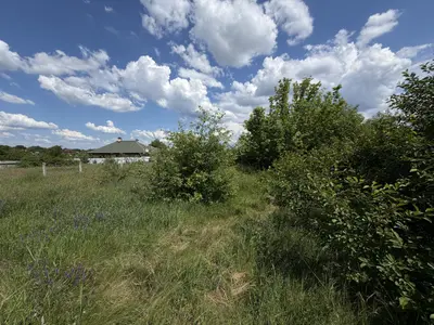 Продаж ділянки, в Рибцях 9 соток — мініатюра фото 10