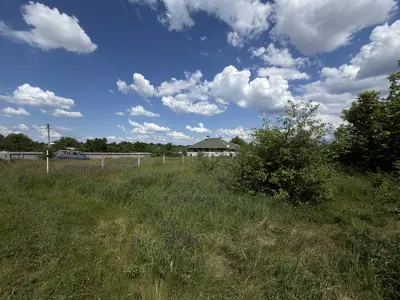 Продаж ділянки, в Рибцях 9 соток — мініатюра фото 11